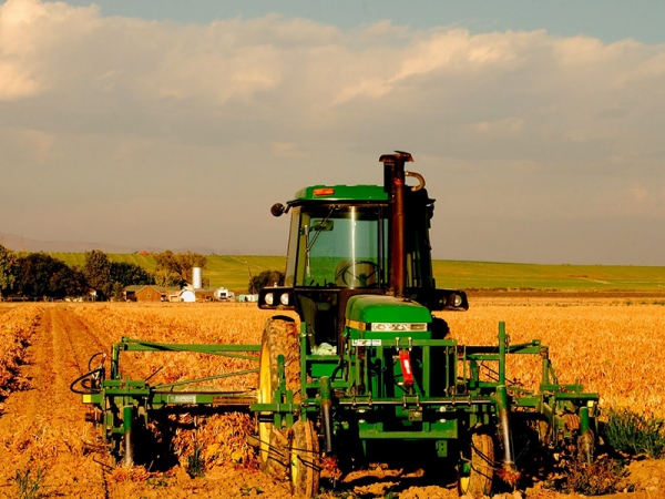 Sicredi Centro Norte registra aumento de 17,2% nas contrataes de Crdito Rural