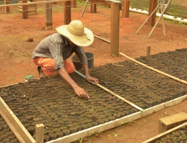 Tcnicos da Secretaria de Agronegcio e Meio Ambiente inicia o plantio de 10 mil mudas de maracuj 