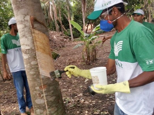 Parceria garante capacitao para diversificar a renda do produtor rural