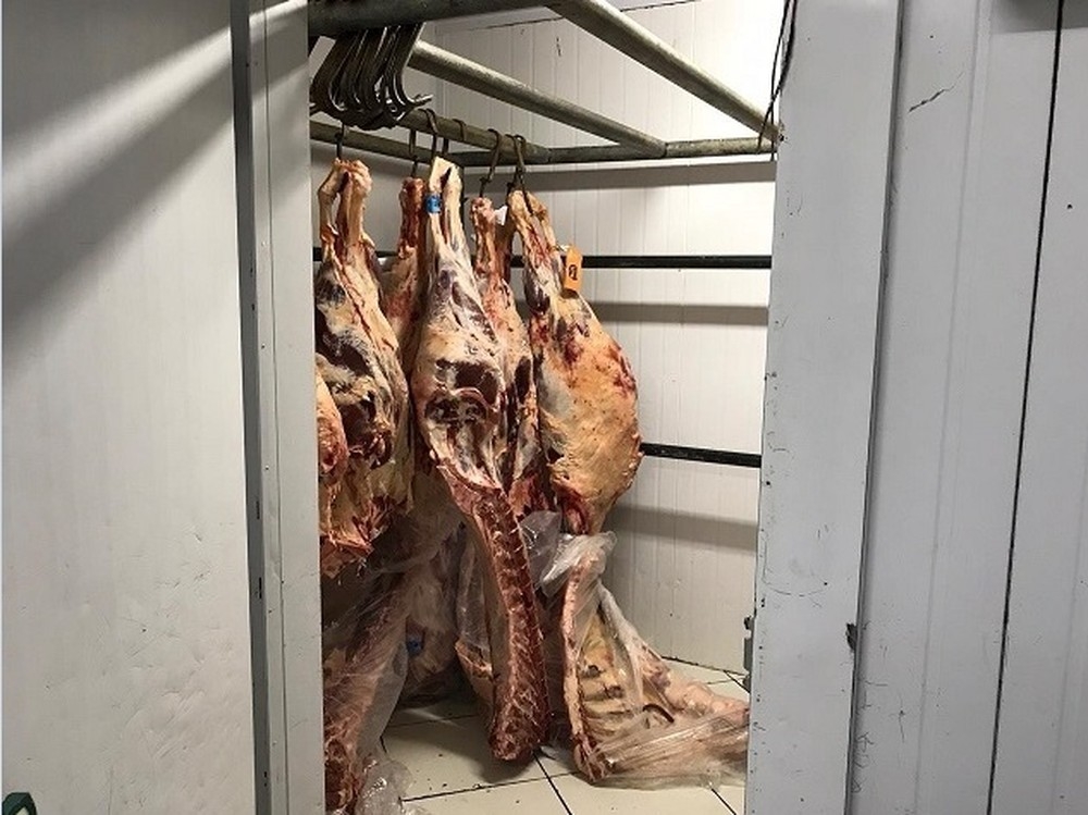 Deu no G1: Operao contra venda clandestina de carne em Novo Horizonte do Norte e Porto dos Gachos encontra produtos vencidos e mosca em congelador