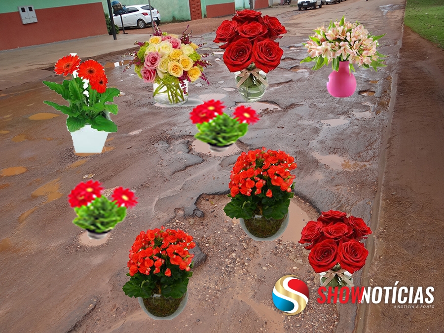 Como ficaria a Avenida Rio Arinos se plantssemos flores para tapar os buracos