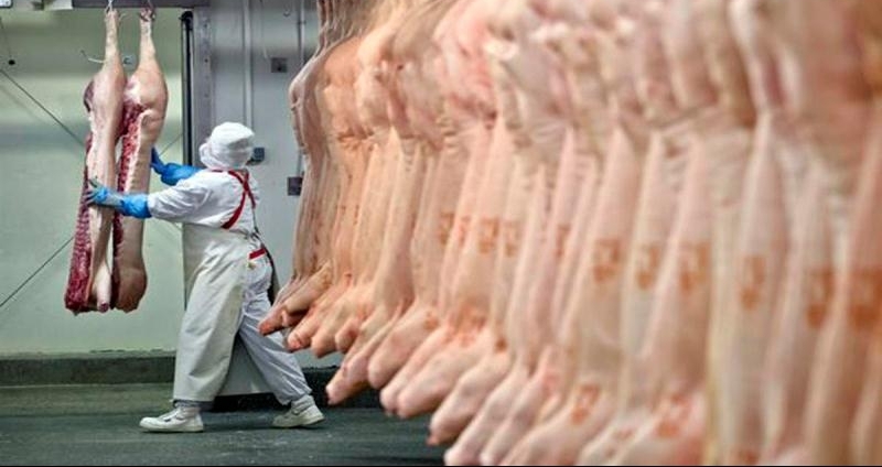 Brasil exportar carne suna para a Coreia do Sul