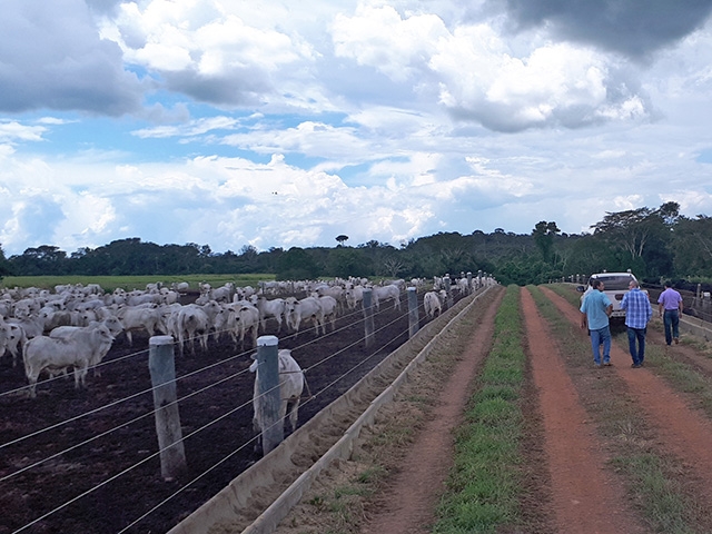 Confinar 2018: Produtor de Ribas do Rio Pardo apresentar modelo de adubao de pastagem