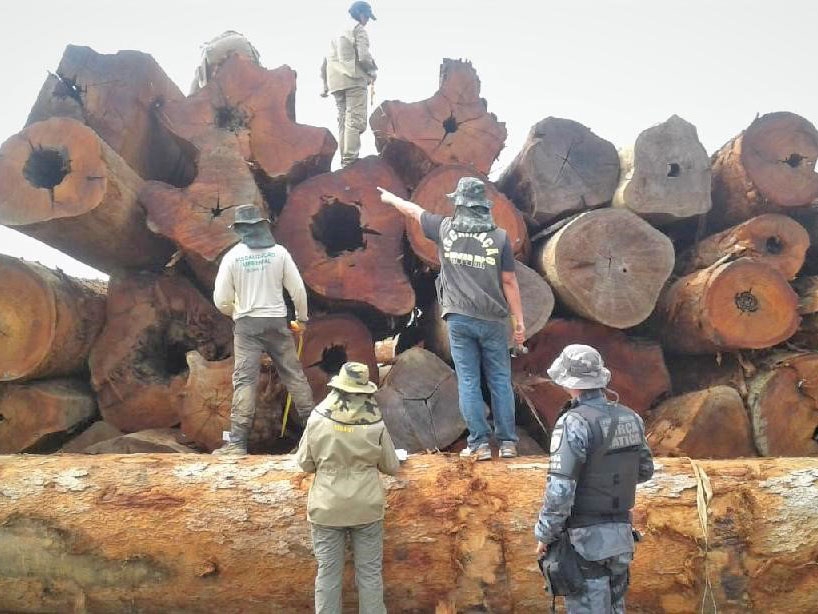 Sema apreende maior volume de madeira da ltima dcada em Colniza