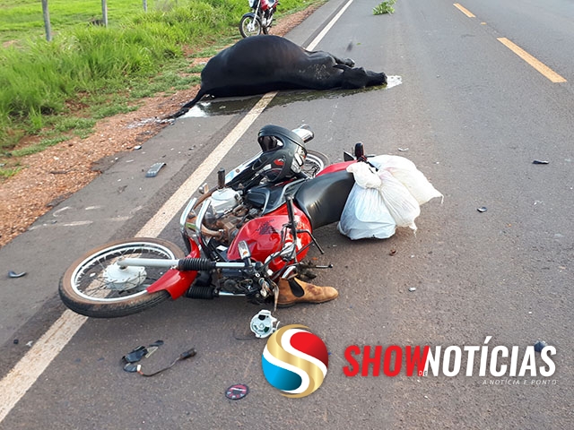 Trabalhador de 45 anos bate com moto em vaca solta na pista, sofre fraturas nas ppernas e traumatismo craniano.