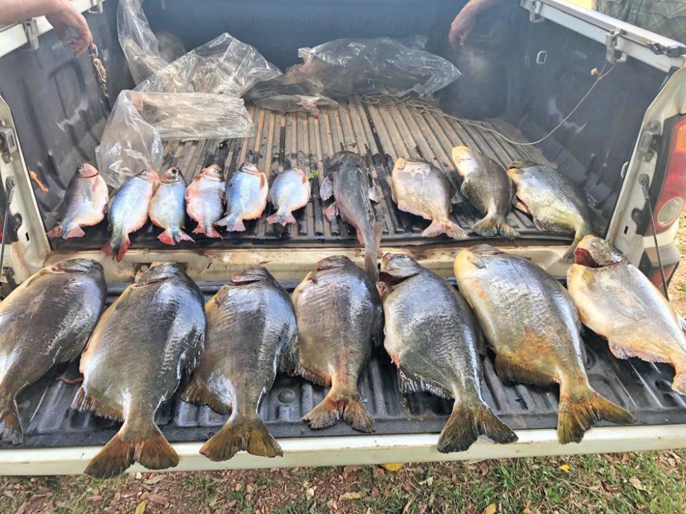 Sema apreende 415 kg de pescado em Pocon 