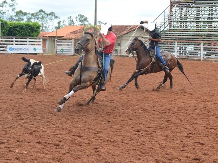 Liminar probe provas de Lao na 6 Semana do Cavalo que acontece em Cuiab