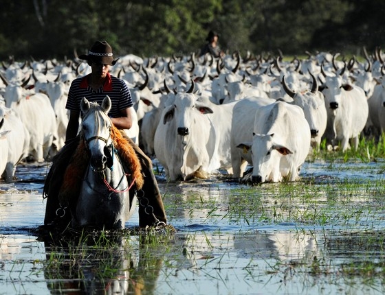 Acrimat entrega Carta do Pantanal ao ministro do Meio Ambiente  