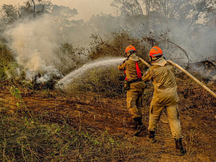 Percia constata que incndio em reserva no Pantanal foi provocado por ao humana