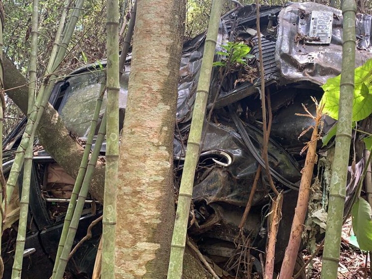 Carro de irmo do ator Marco Ricca, que desapareceu h seis anos,  encontrado s margens da Dutra com ossada dentro