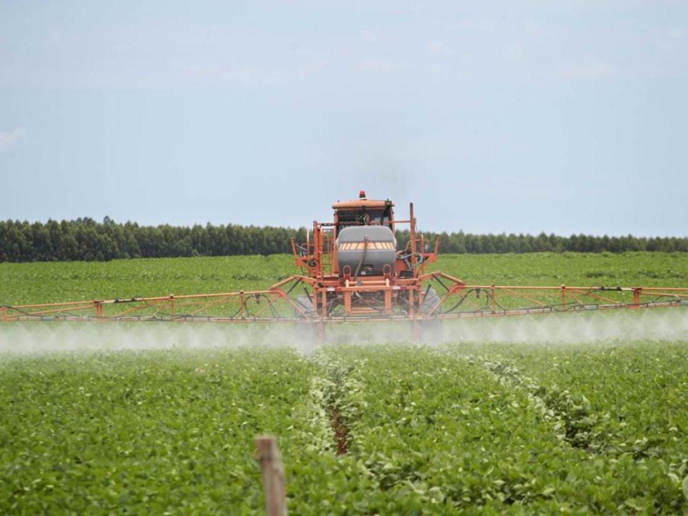 Mato Grosso tem 4 dos 5 maiores produtores do Brasil. Um deles  produtor em Juara