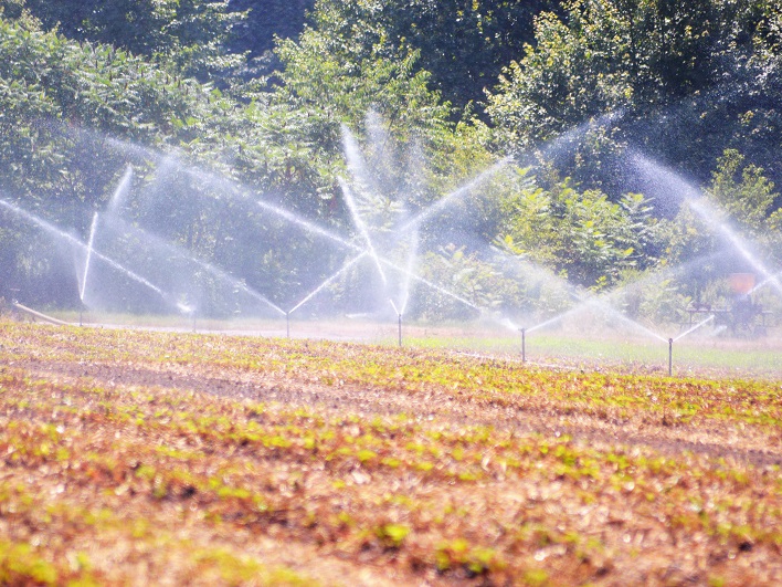 Carlos Csar Floriano comemora crescimento agropecurio em 2020