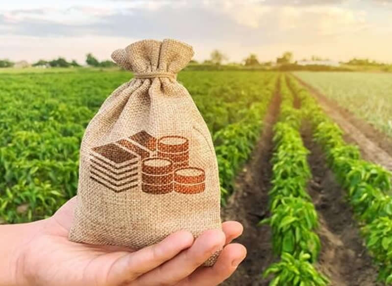 Agro brasileiro bate recorde e exporta quase R$ 14 BI em maio 