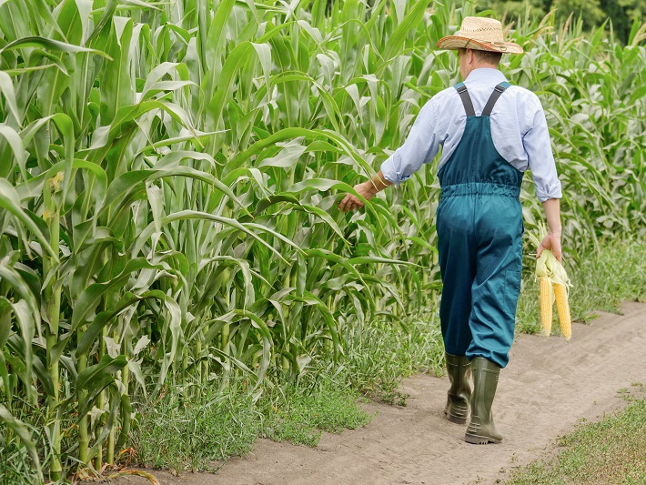 Carlos Csar Floriano informa a publicao do zoneamento agrcola do milho para 2021/2022