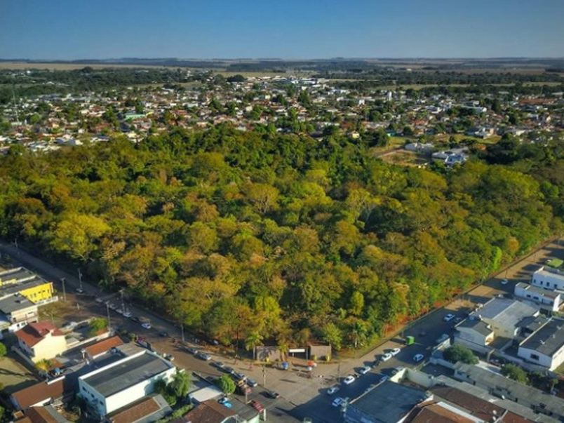 Criana de 9 anos  atacada por quati em parque em Tangar da Serra - MT, diz av