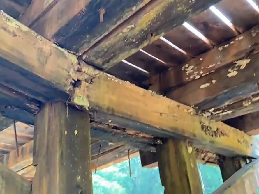 Moradores reclamam que ponte na Beira Rio pode cair a qualquer momento e laterais da estrada esto fechadas pelo mato