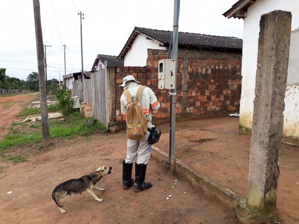 Energisa registra 1.300 alertas contra ataques de ces em Mato Grosso em um ms  