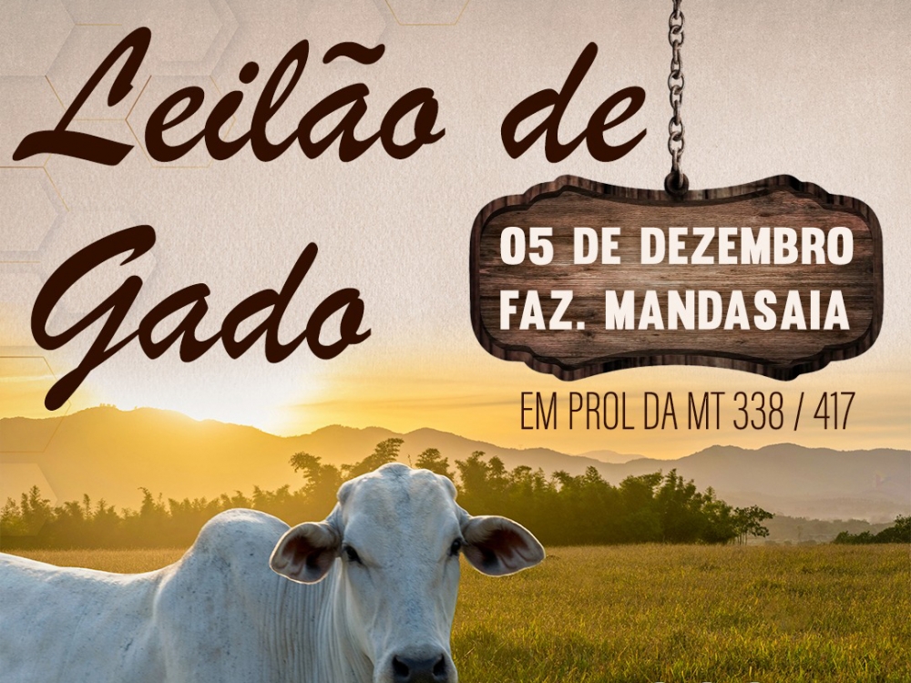 300 cabeas de gado sero leiloadas nesse domingo em prol do asfalto da MT 338 Juara MT 417.