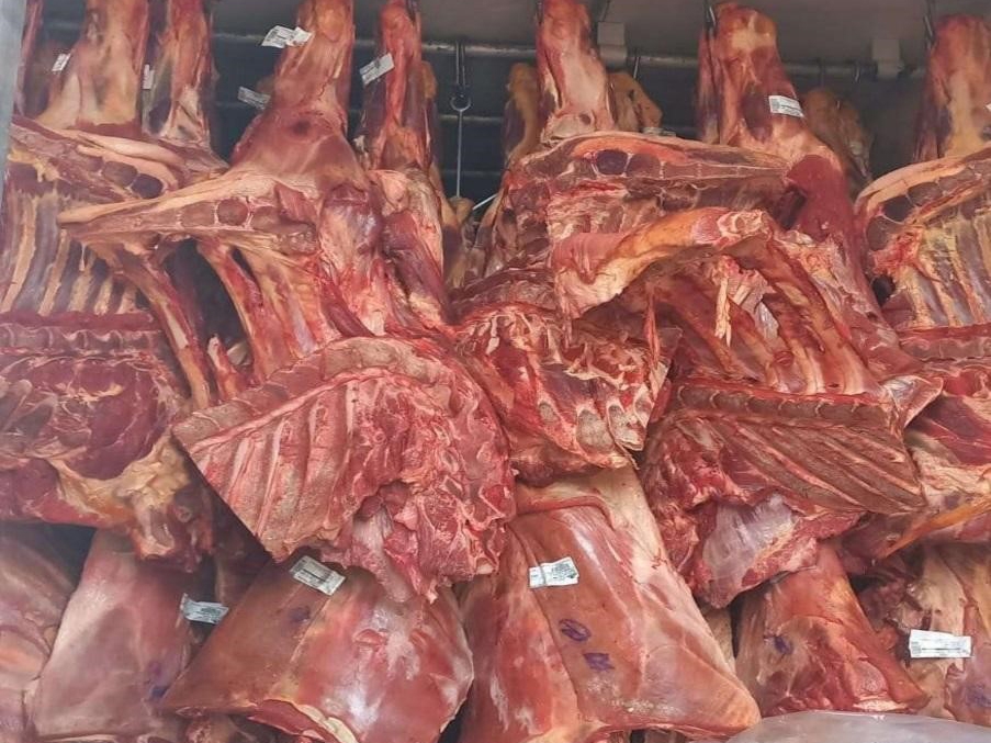 Carga irregular de carne bovina de MT  interceptada em Rondnia