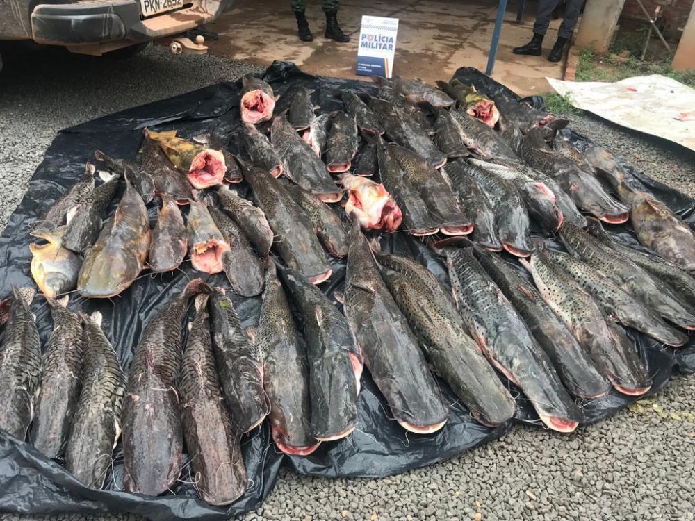 Duas pessoas so presas transportando 400 kg de pescado irregular em Barra do Bugres