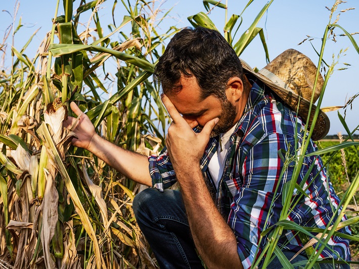 Proagro e Seguro Rural  solicitado por mais de 81 mil produtores devido  seca