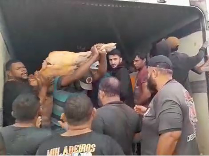 Carga de carne de mais de R$ 300 mil foi saqueada de caminho que capotou em Campo Novo do Parecis