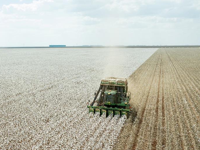 FCO disponibiliza R$ 320 milhes em crdito para setores empresarial e rural de Mato Grosso