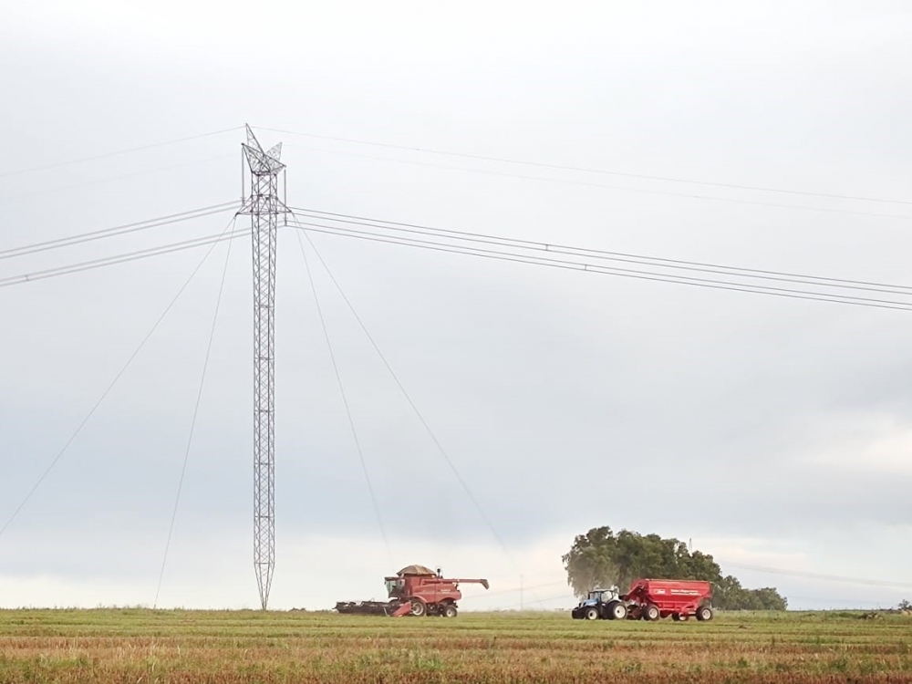 Mato Grosso: acidentes de mquinas agrcolas com rede eltrica afetam 12 mil clientes  Nmeros so s desse ano. 