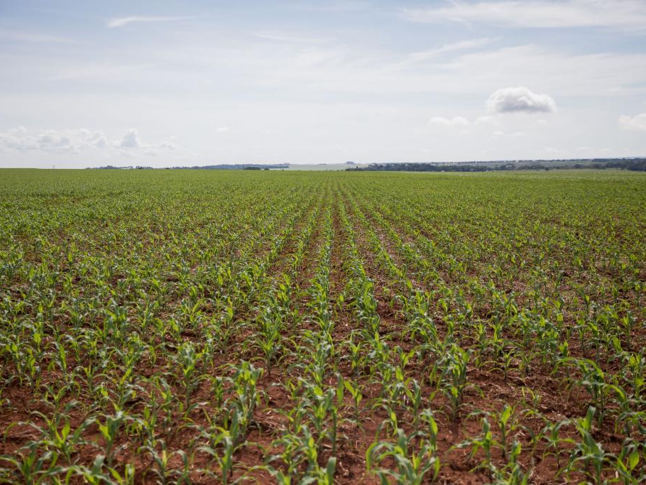 FCO oferta R$ 546,8 milhes em linhas de crdito para empresrios e produtores rurais de MT