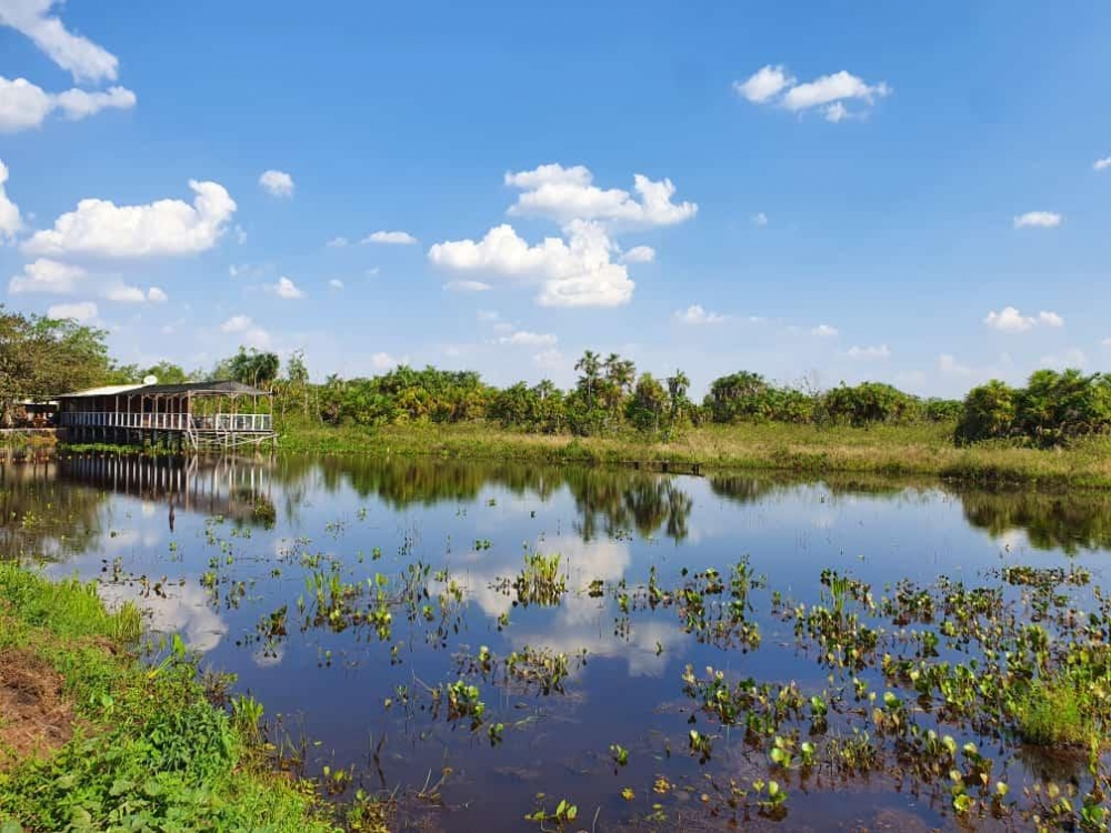 Empaer promove encontro do turismo rural durante a Fit Pantanal 2022 