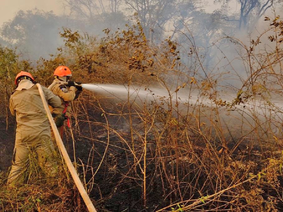 Perodo proibitivo do fogo em Mato Grosso comea nesta sexta-feira (1) 