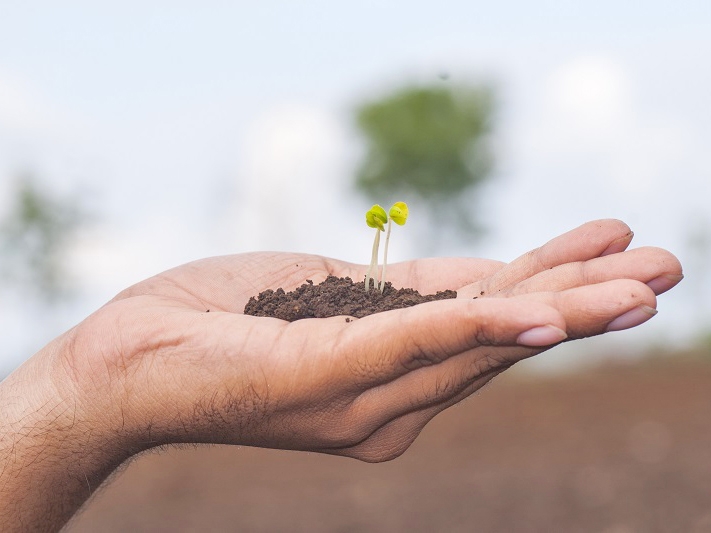 Para a sustentabilidade, pases das Amricas e frica se renem em Cpula e compartilham experincias