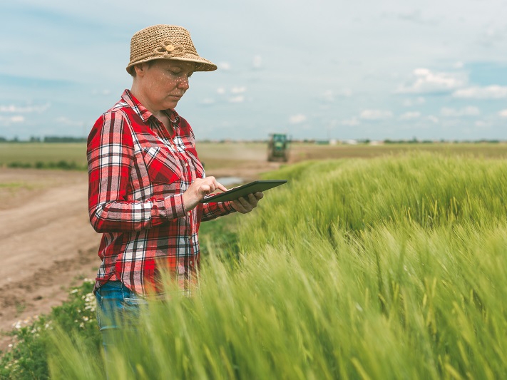 Contrataes de crdito rural somaram mais de R$ 25 bilhes em julho de 2022