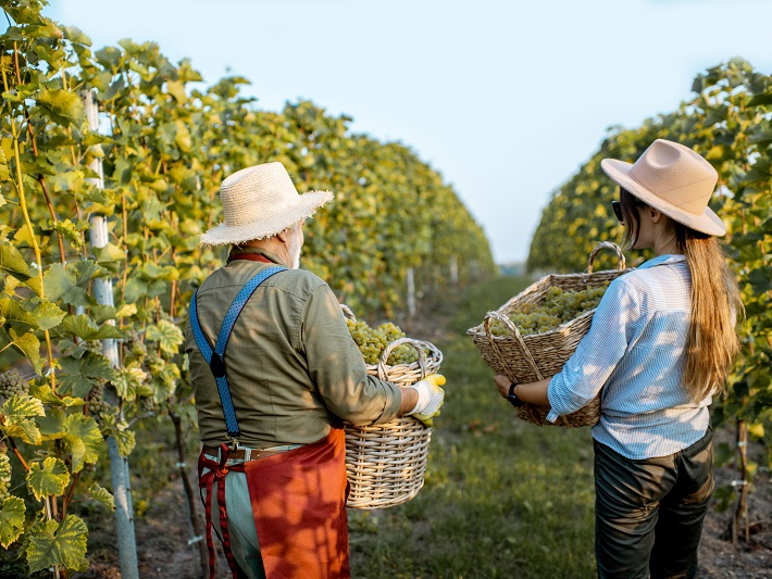 Instituto Nacional de Colonizao e Reforma Agrria emite mais de 400.000 ttulos