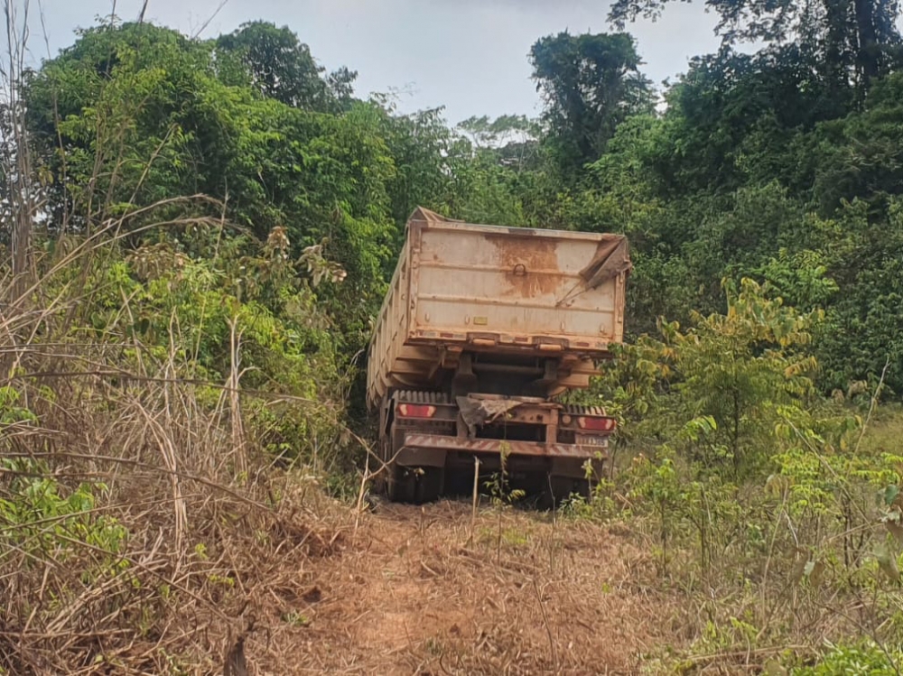 Caamba desengata de caminho Bitrem e vai parar no meio do mato, na Rodovia do Vale.