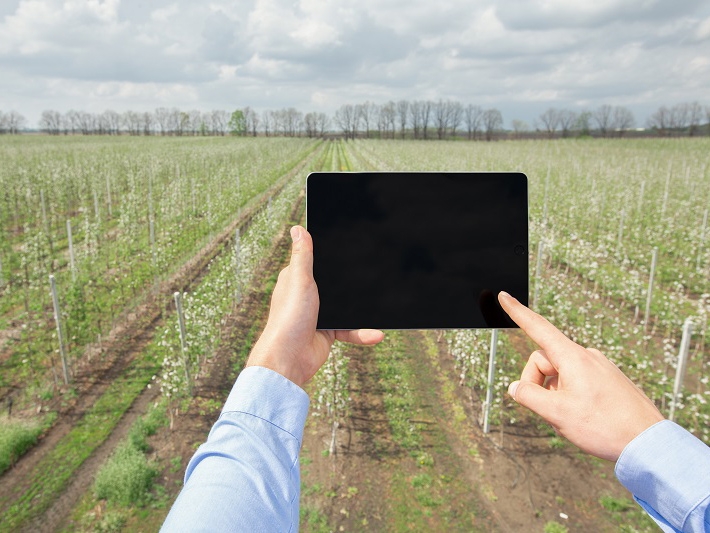 Ministrio da Cincia, Tecnologia e Inovaes e o Mapa apresentam inovaes no agronegcio do semirido do Brasil