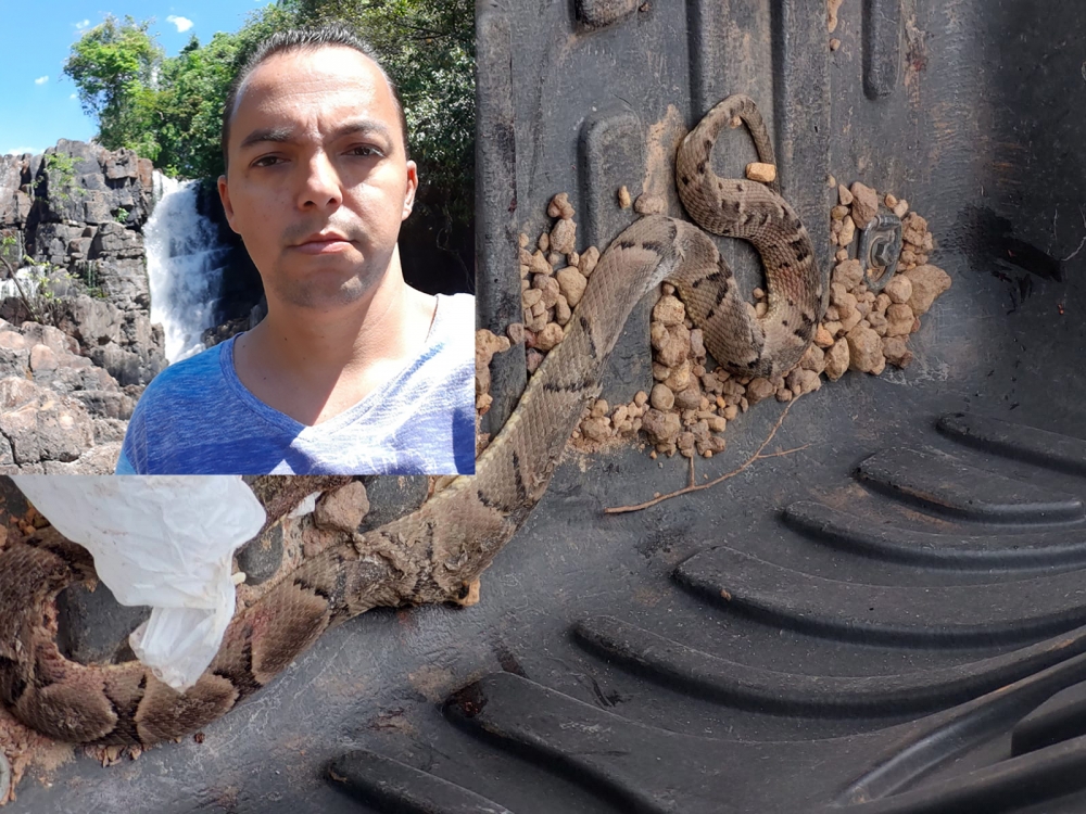 Padre Everaldo  picado por cobra jararaca e est internado em Porto dos Gachos.