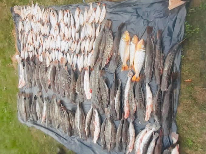 Batalho Ambiental apreende 315 quilos de pescado irregular