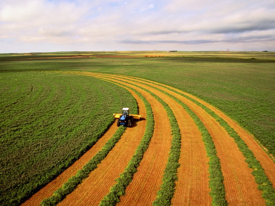 Ministrio da Agricultura pode ser do agronegcio mato-grossense