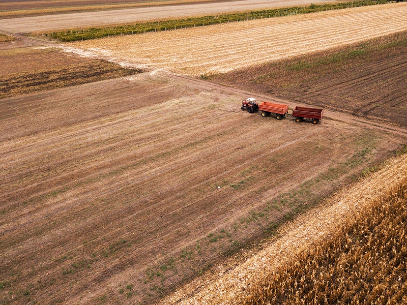 Ministrio da Agricultura, Pecuria e Abastecimento apresentou as aes do Plano Agronordeste