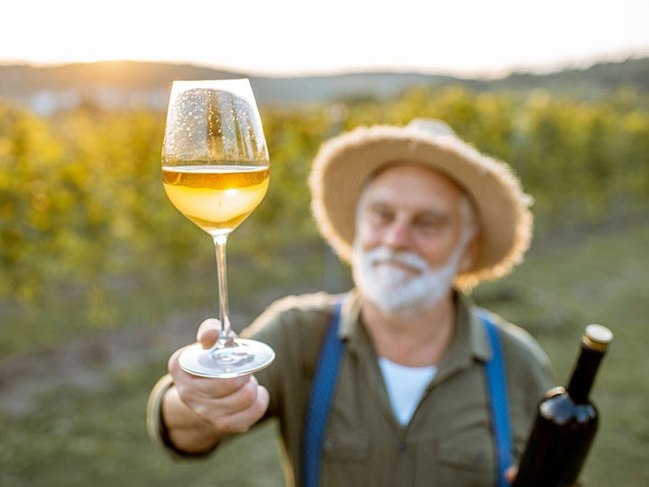 Vinhos do Vale de So Francisco recebem registro de Indicao Geogrfica