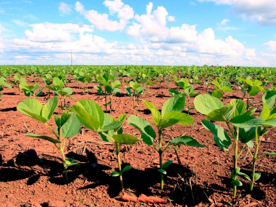 Carga tributria ser de 2% na importao de insumos agrcolas a partir de 2023 