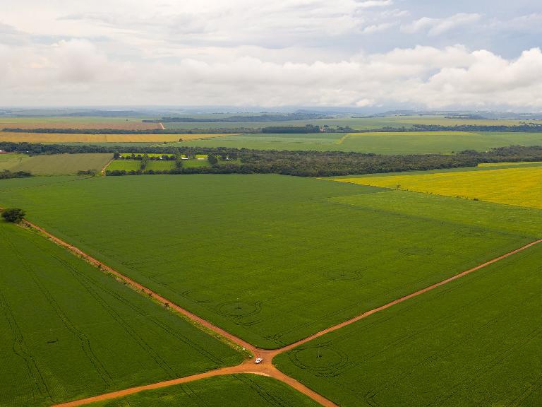 Mato Grosso se mantm na liderana nacional com 58% do CAR analisado 