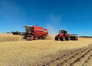 Redesenho do sistema de plantio direto vai gerar mais sustentabilidade ao agro