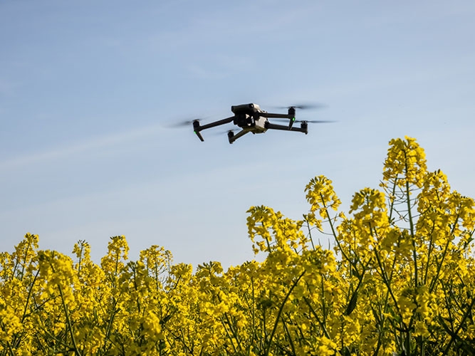 Ministrio da Agricultura treina auditores fiscais para vistorias com drones