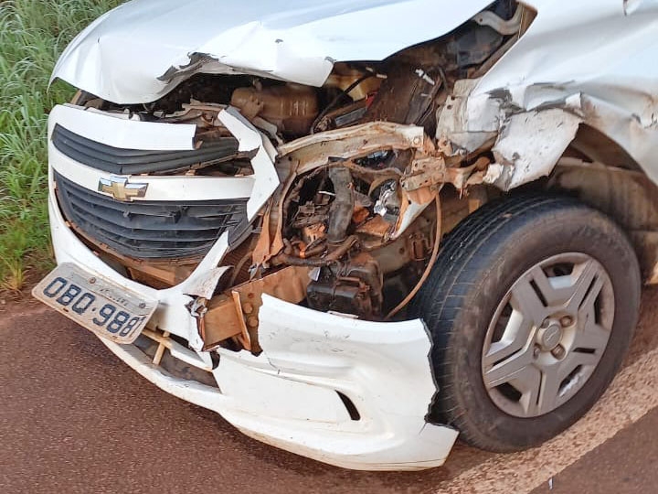 Carro de famlia de Juara que viajava para Sinop bate em anta na MT 220. Ningum ficou ferido.