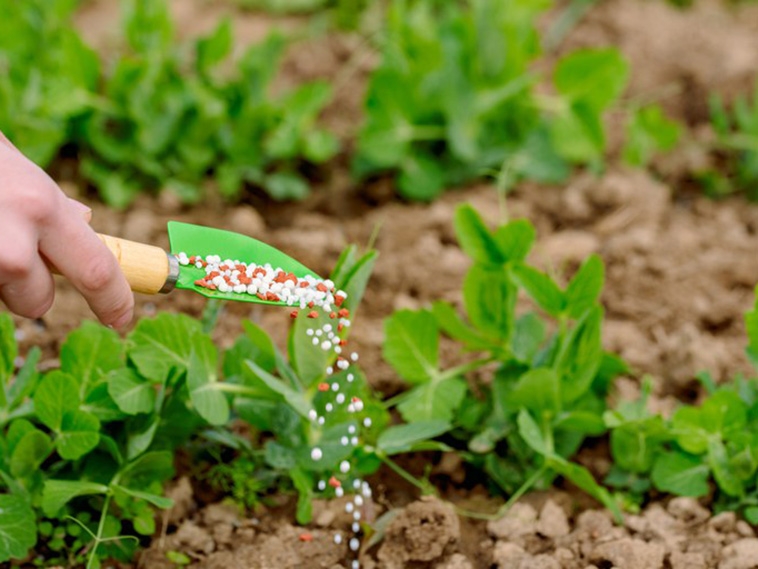 Sedec apresenta alternativas para produo de fertilizantes em MT nesta quarta-feira (21)