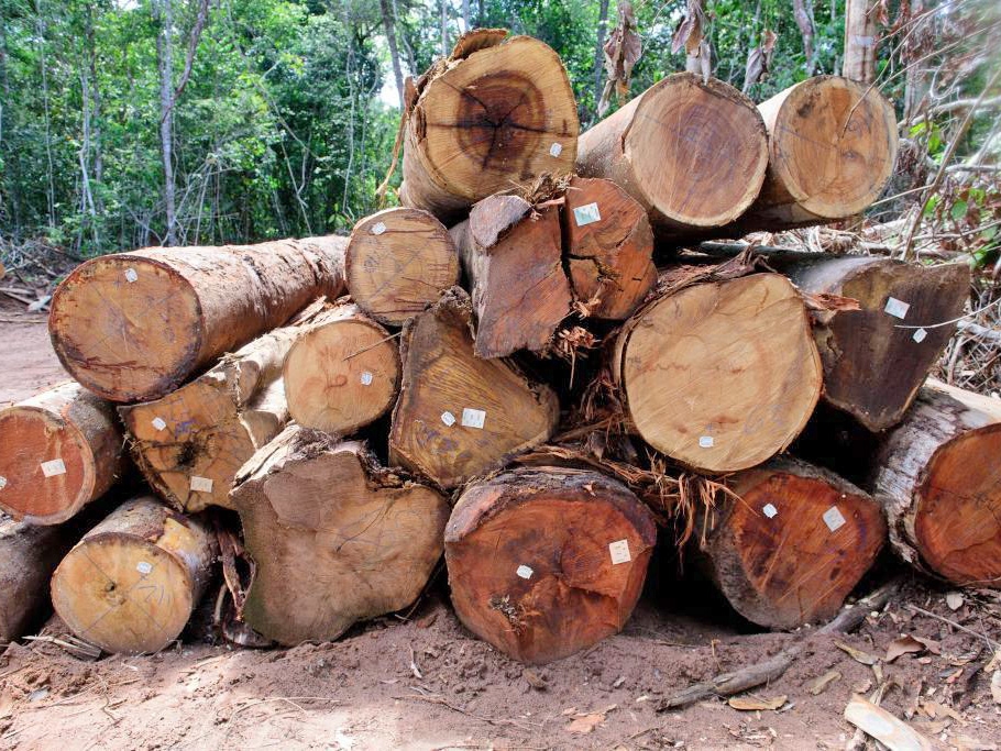 Sema-MT publica normativa que aprimora monitoramento da explorao florestal