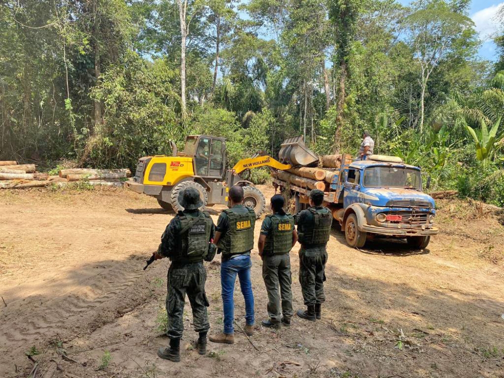 Sema-MT apreende 55 metros cbicos de madeira extrada ilegalmente em Nova Maring