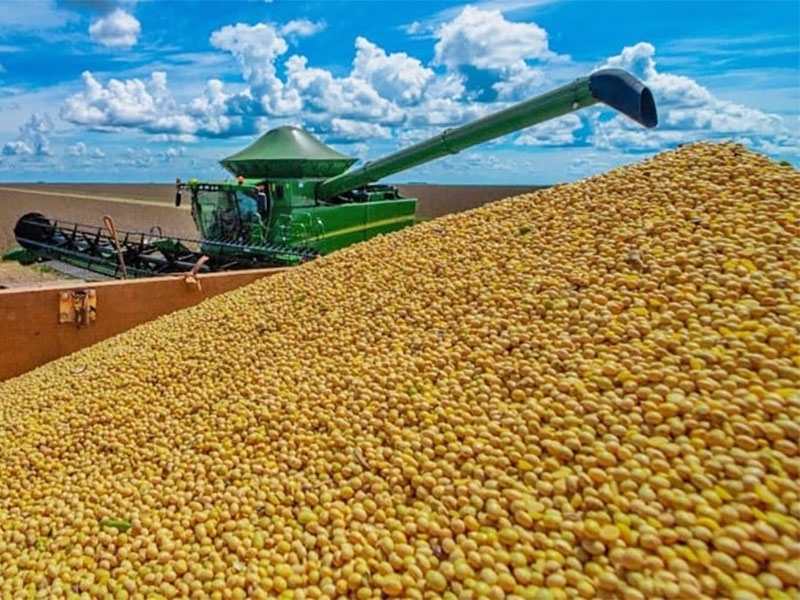 Mercado brasileiro de soja melhora; veja preos e cotaes